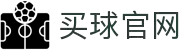 买球站 - 买球站官方网站 - 2025世俱杯足球压球网